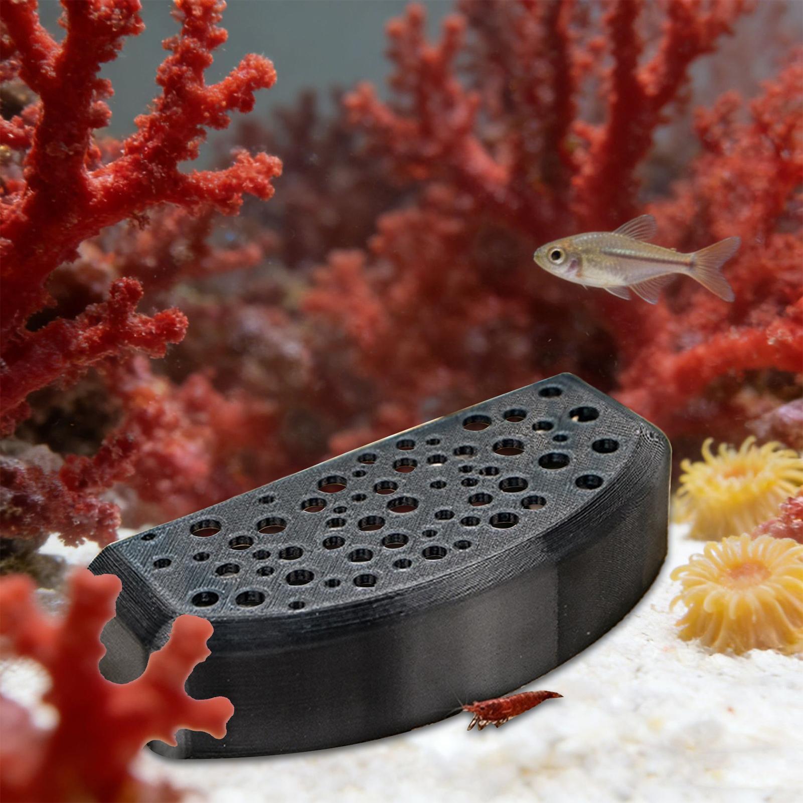 Aquatic Zone - Ornamen Tempat Tidur Hewan Air Multi