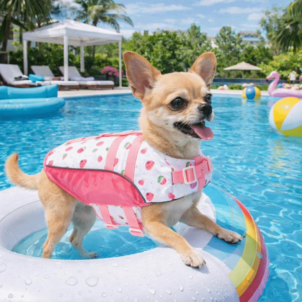 Life Jacket Buoyancy - Rompi Pelampung Anjing yang Dapat Disesuaikan,