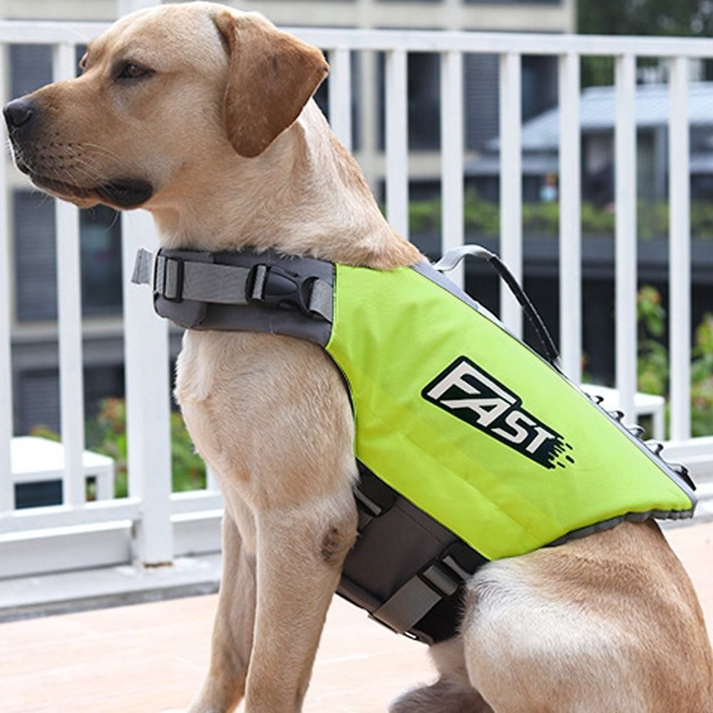 Jaket Renang Hewan Peliharaan  - Life Jacket Buoyancy ulasan dan harga