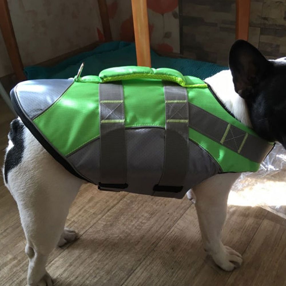 Jaket Pelampung Anjing Reflekt - Life Jacket Buoyancy ulasan dan harga