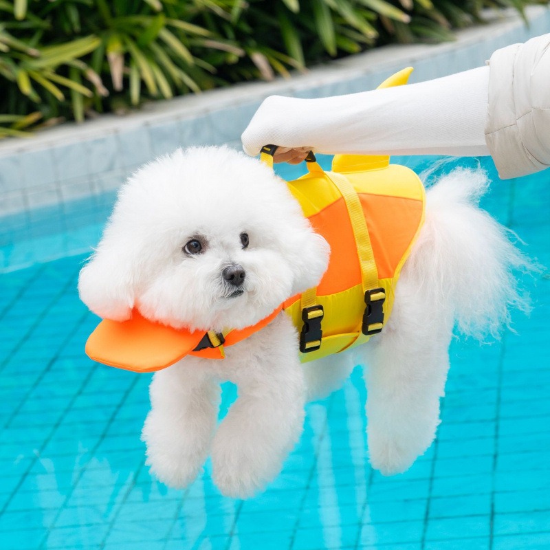 Rompi Pelampung Anjing Shark D - Life Jacket Buoyancy ulasan dan harga